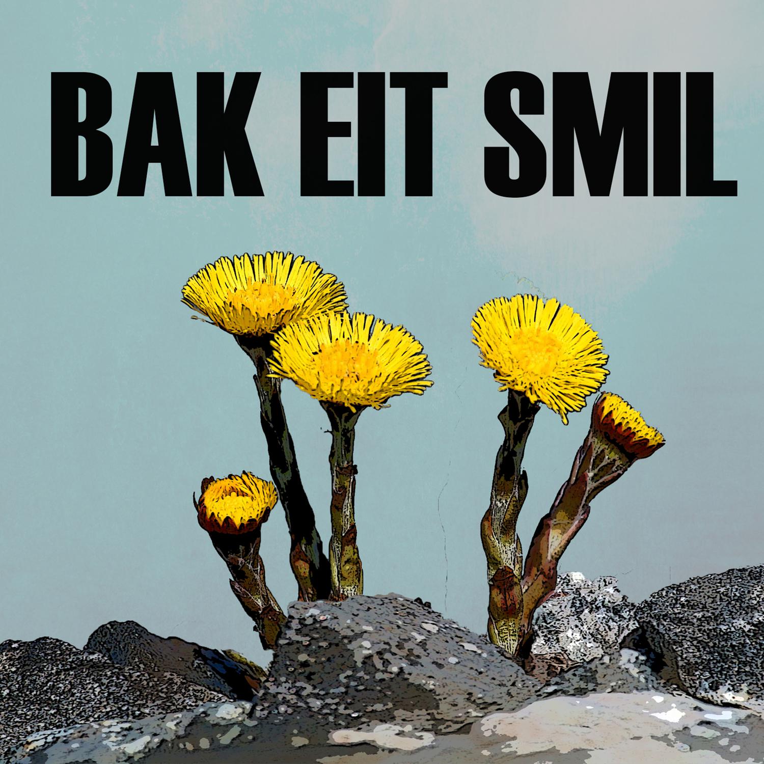 鞍山_澳门一码一肖一特一中详情,戳穿数据库备份（bak）精选解析、解释与落实